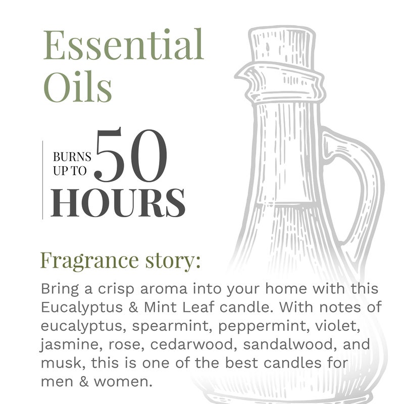 CANDLE-LITE Essential Elements by Candle-lite Scented Candles Eucalyptus & Mint Leaf Fragrance, One 9 oz. Single-Wick Aromatherapy Candle with 50 Hours of Burn Time, Off-White Color - Image 3